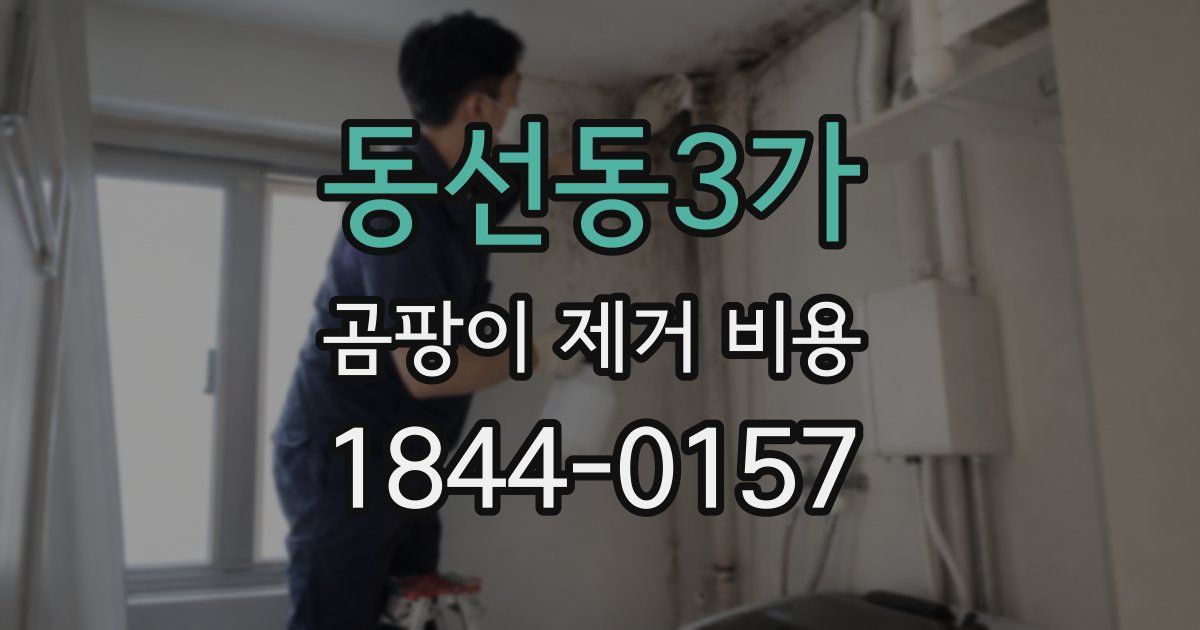 동선동3가 곰팡이 제거 비용