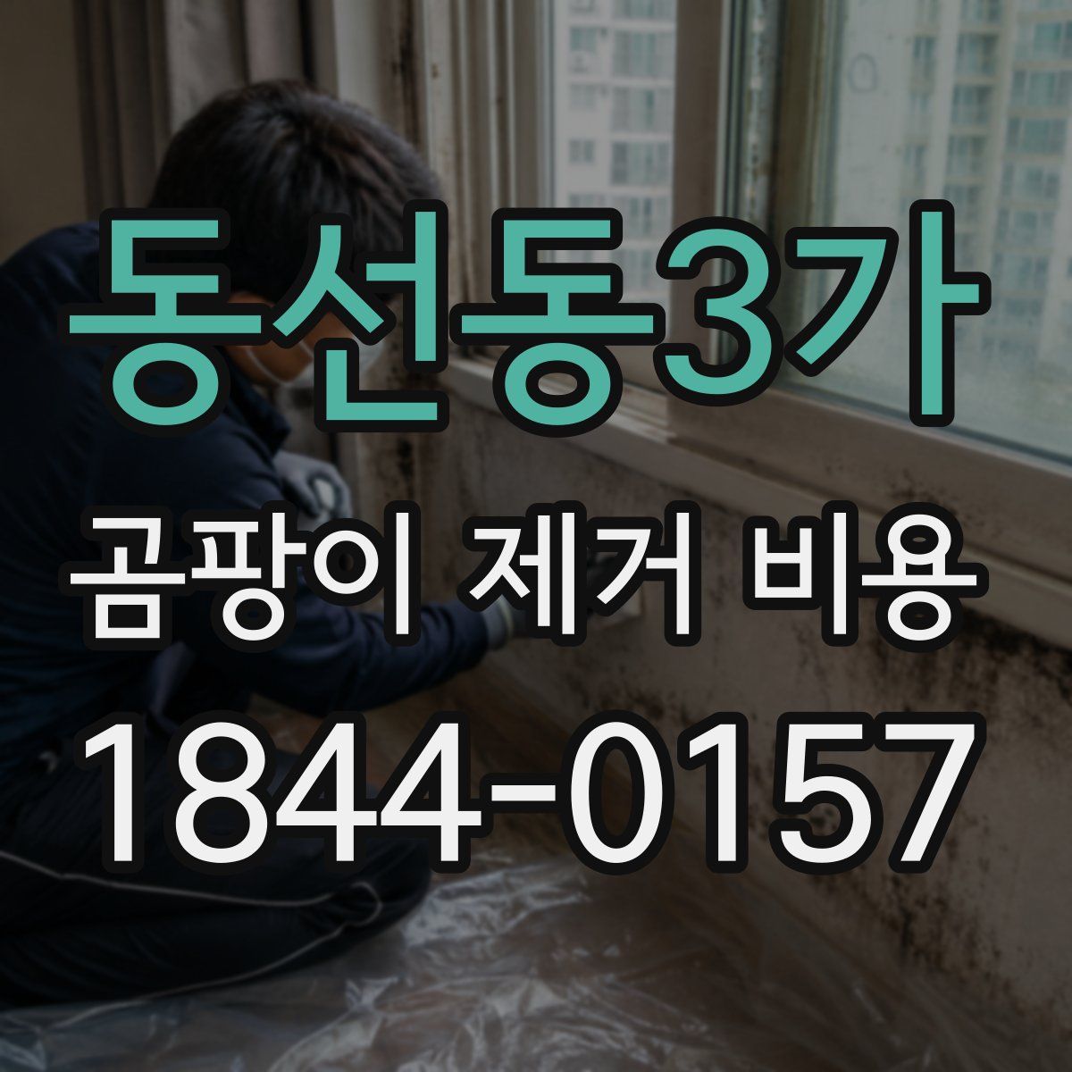 동선동3가 곰팡이 제거 비용