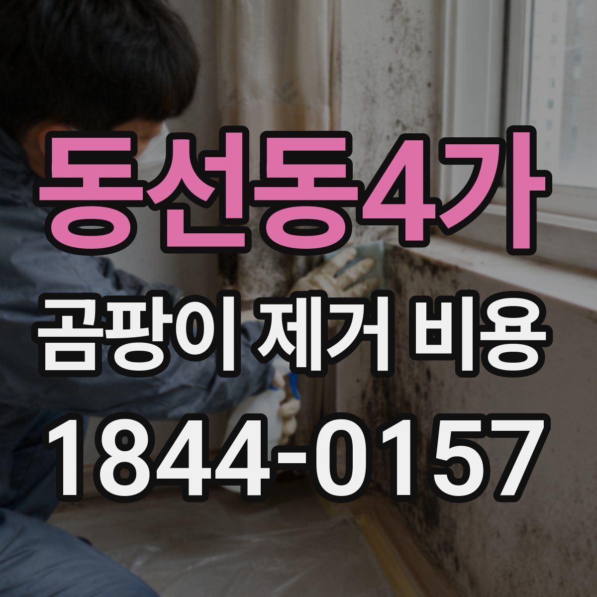 동선동4가 곰팡이 제거 비용