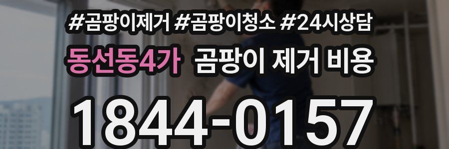 동선동4가 곰팡이 제거 비용
