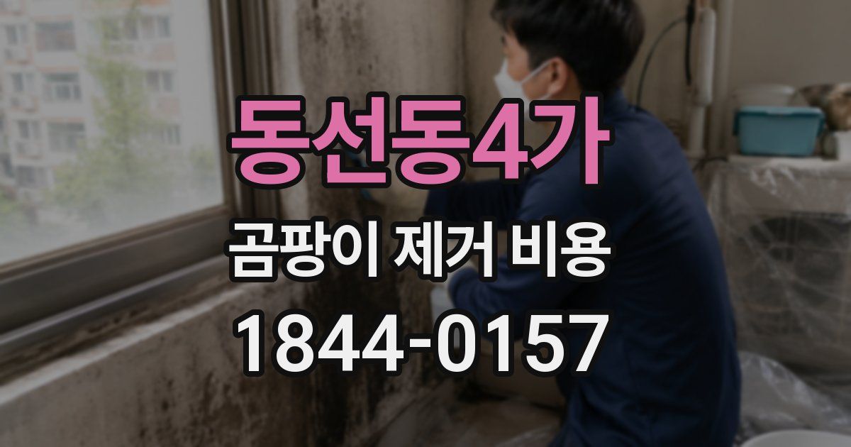 동선동4가 곰팡이 제거 비용