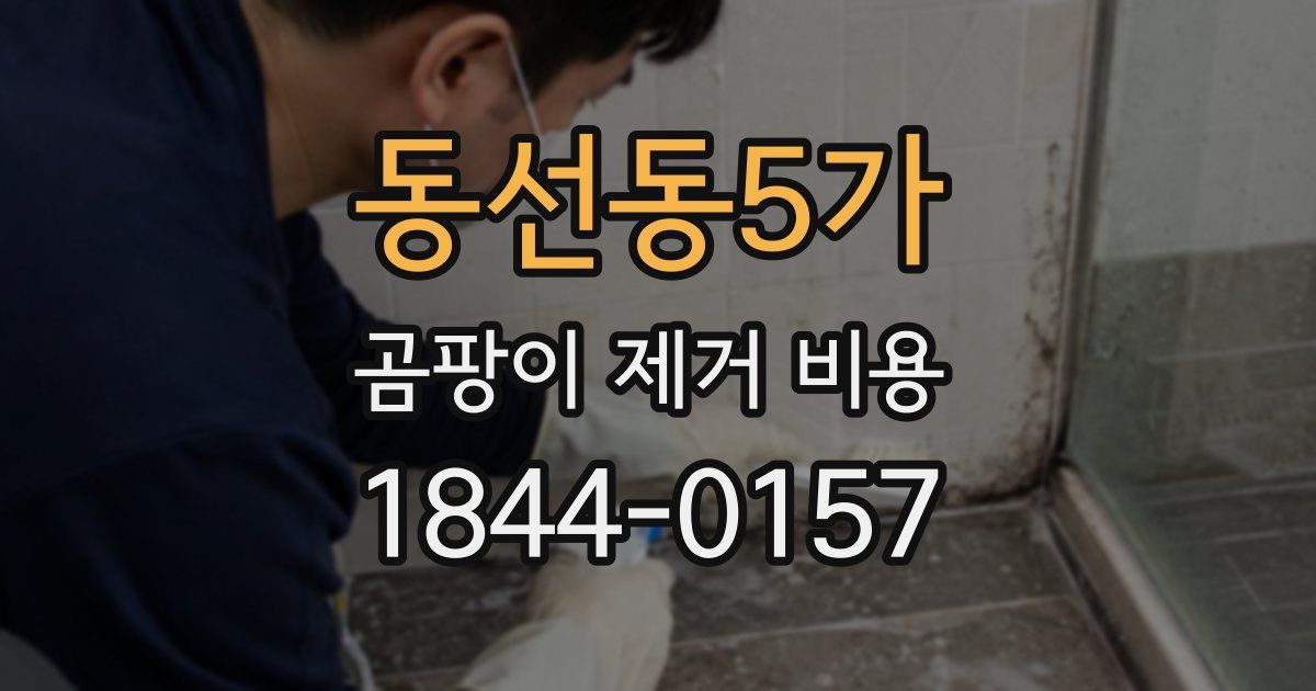 동선동5가 곰팡이 제거 비용