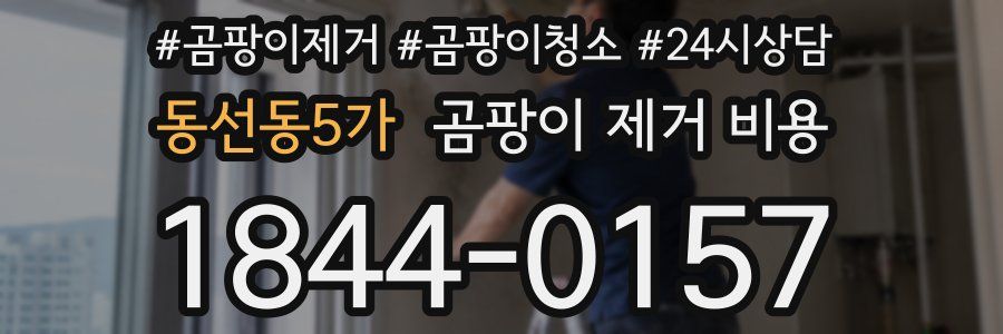 동선동5가 곰팡이 제거 비용