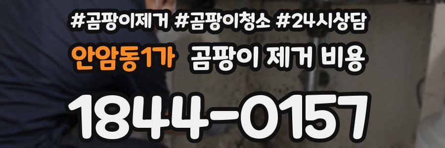안암동1가 곰팡이 제거 비용