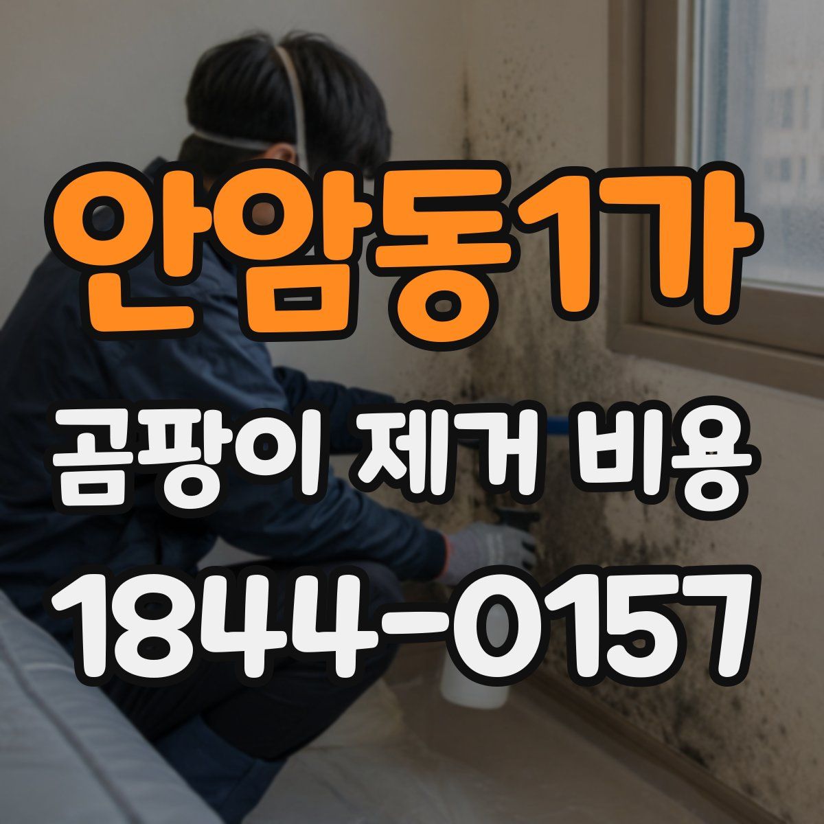 안암동1가 곰팡이 제거 비용