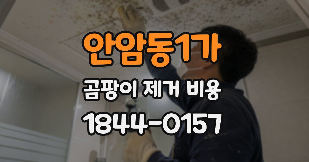 안암동1가 곰팡이 제거 비용