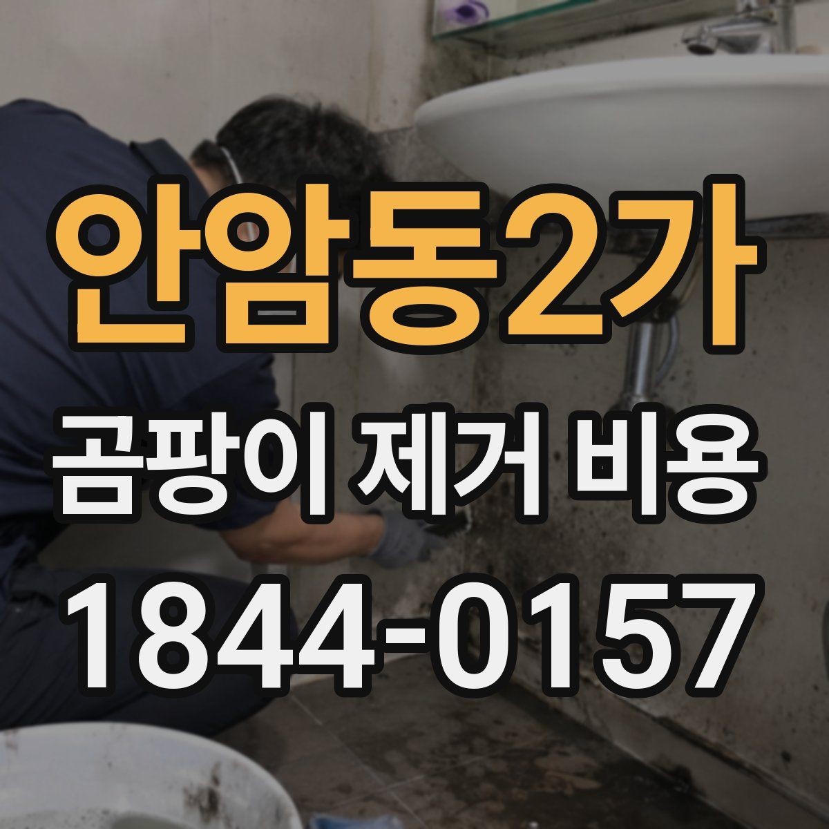 안암동2가 곰팡이 제거 비용 곰팡이 냄새 재발 방지 작업 포함 여부