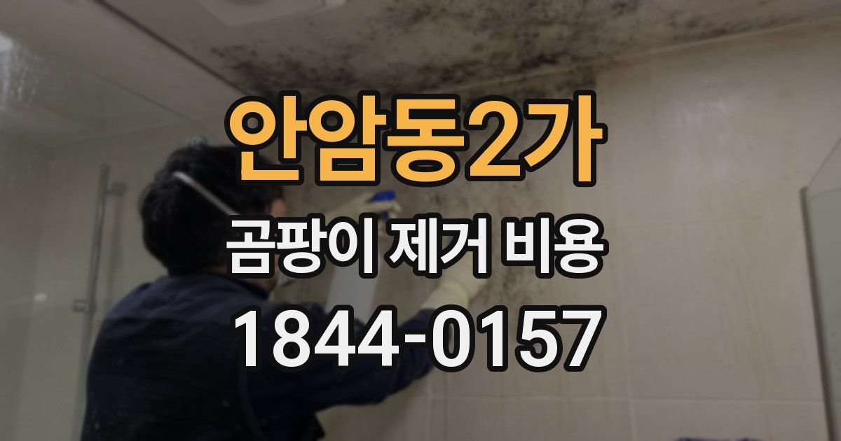 안암동2가 곰팡이 제거 비용