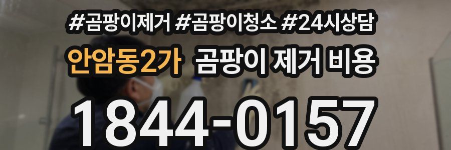 안암동2가 곰팡이 제거 비용