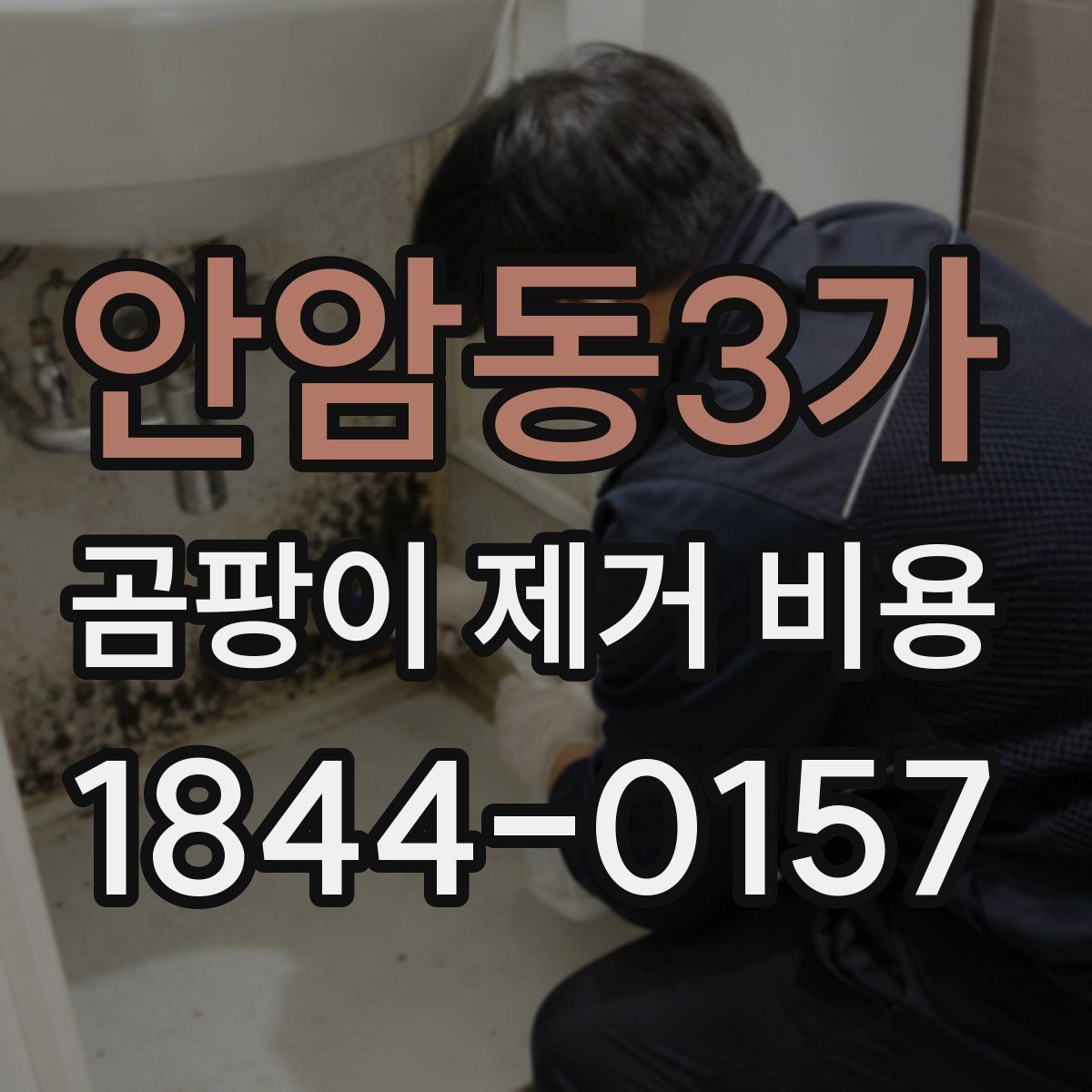 안암동3가 곰팡이 제거 비용