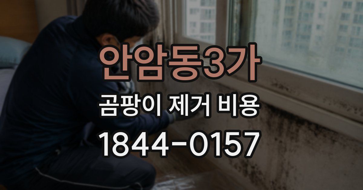 안암동3가 곰팡이 제거 비용