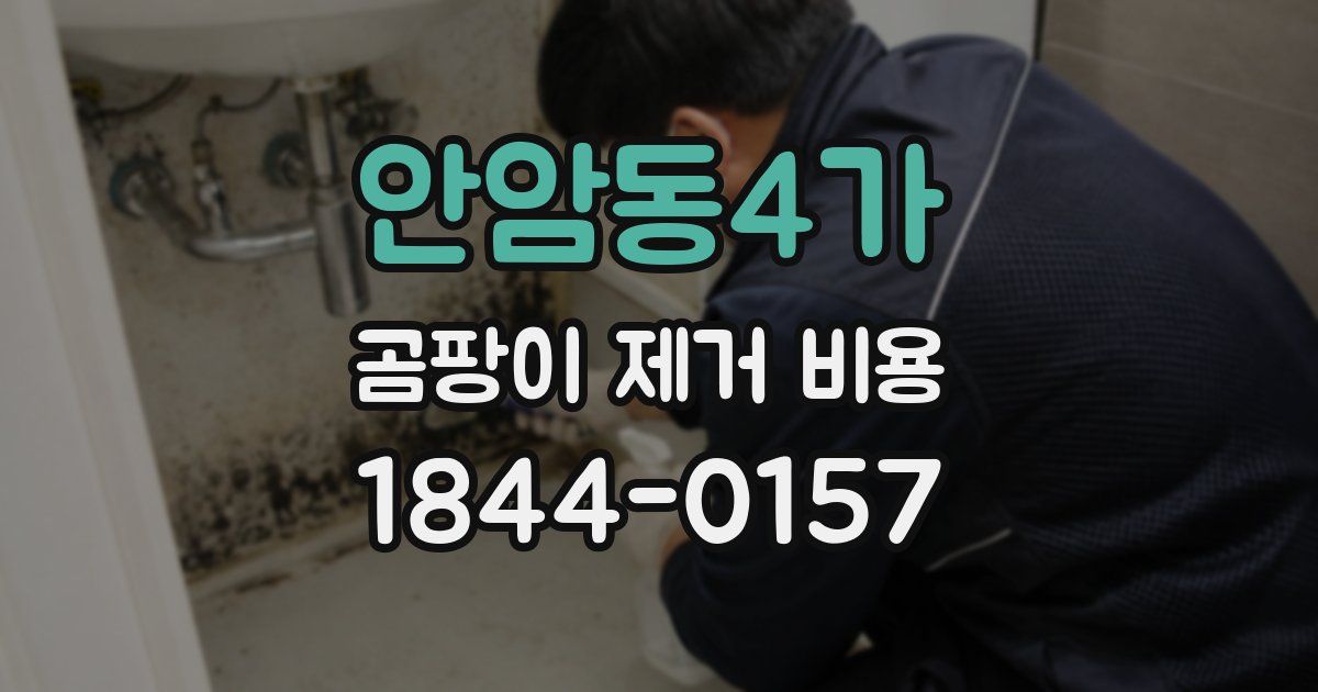 안암동4가 곰팡이 제거 비용