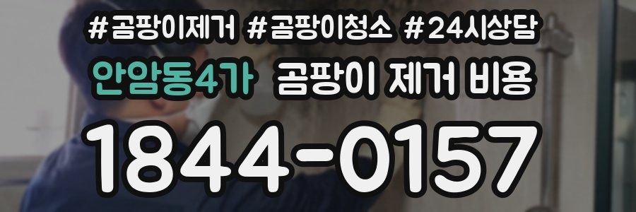 안암동4가 곰팡이 제거 비용