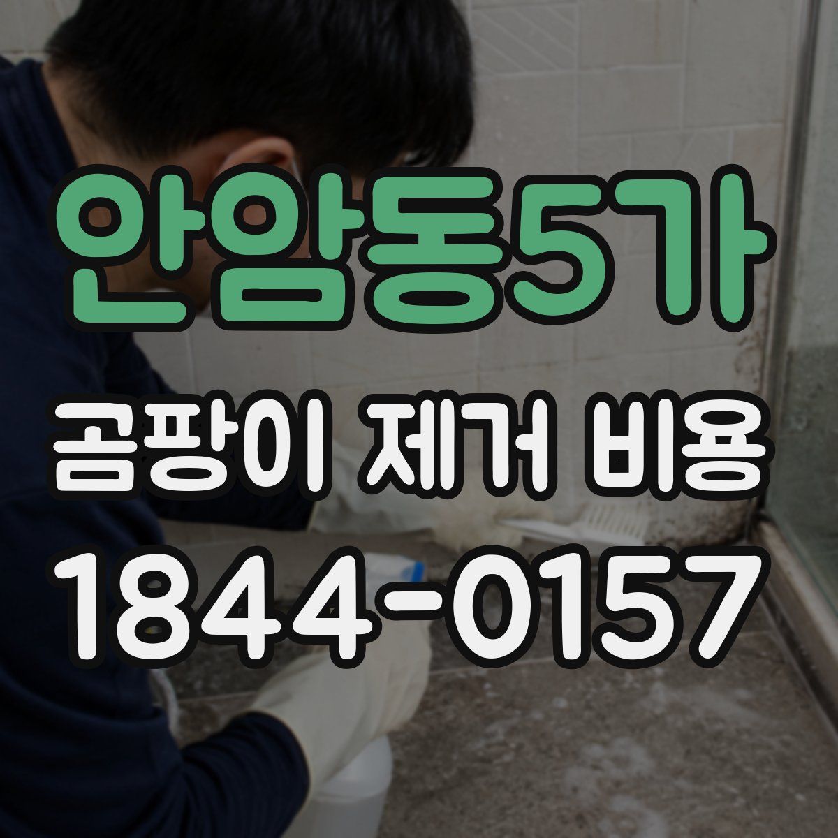 안암동5가 곰팡이 제거 비용