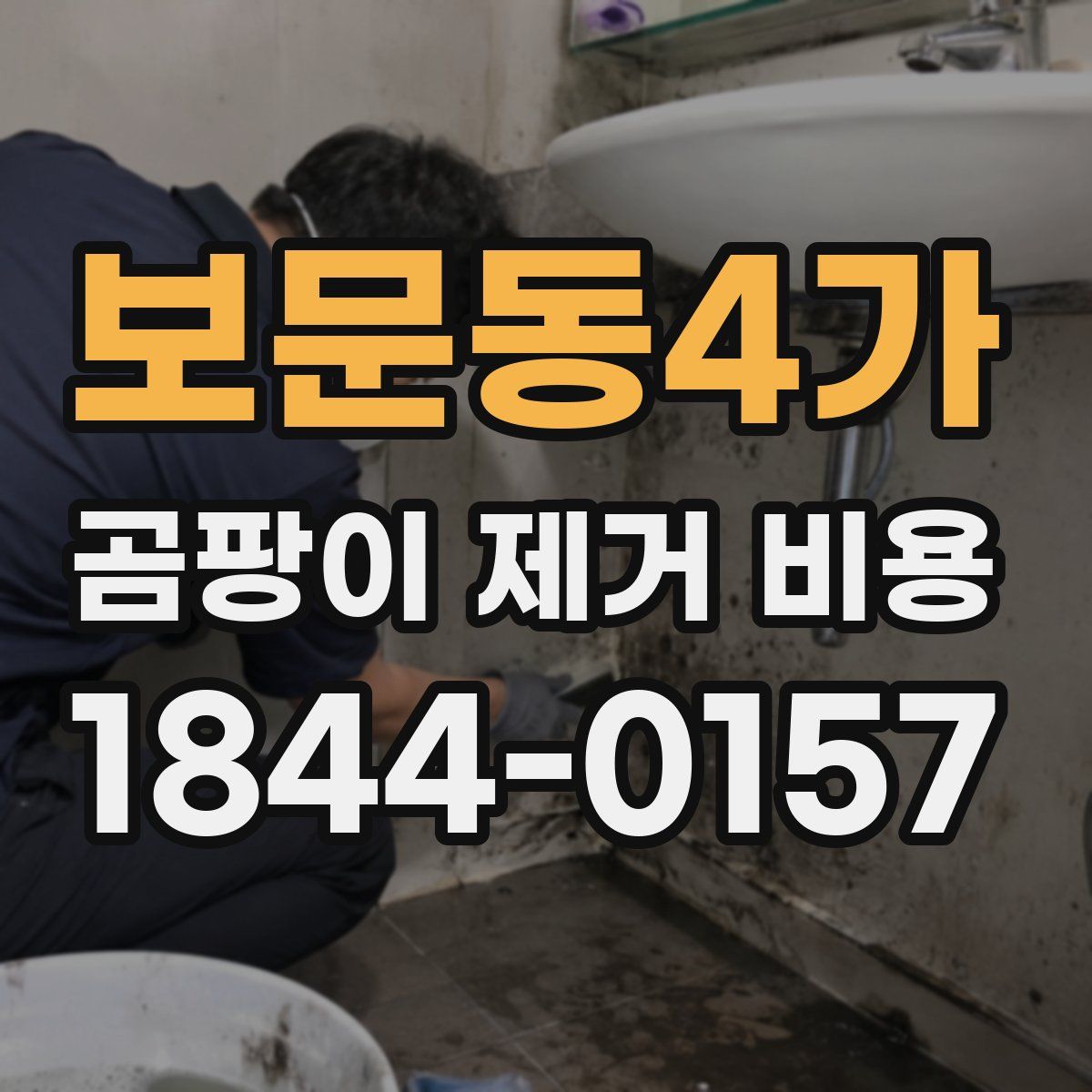 보문동4가 곰팡이 제거 비용