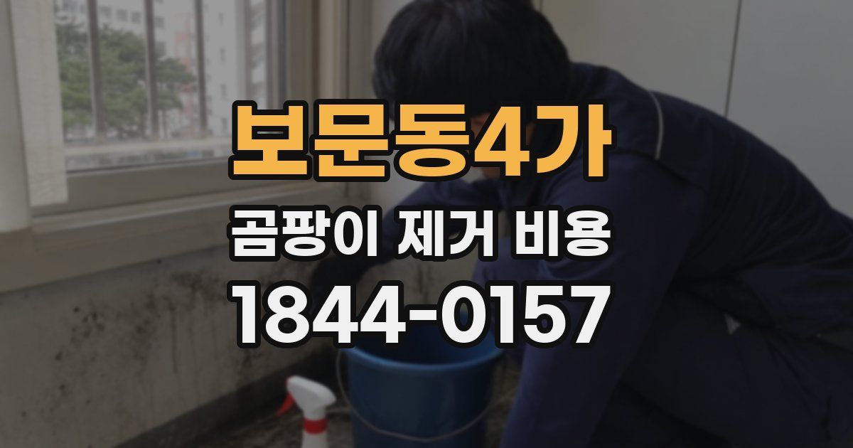 보문동4가 곰팡이 제거 비용