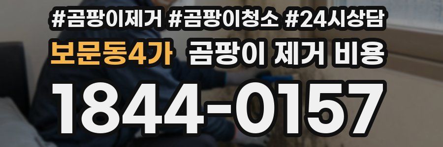 보문동4가 곰팡이 제거 비용