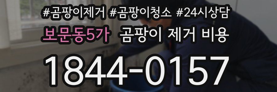 보문동5가 곰팡이 제거 비용
