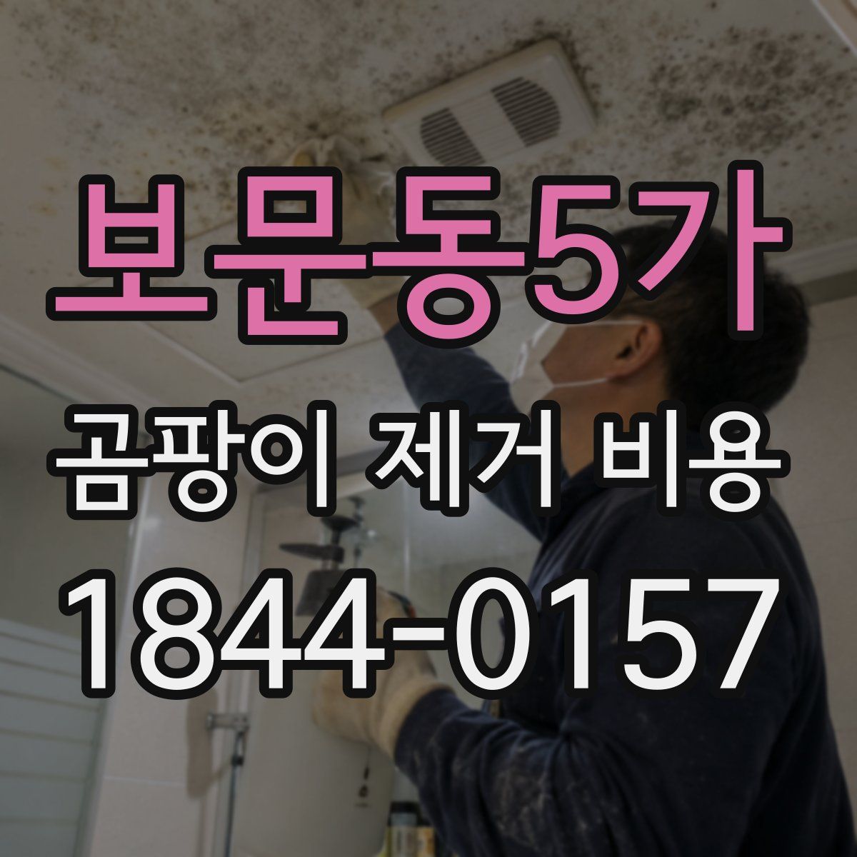 보문동5가 곰팡이 제거 비용