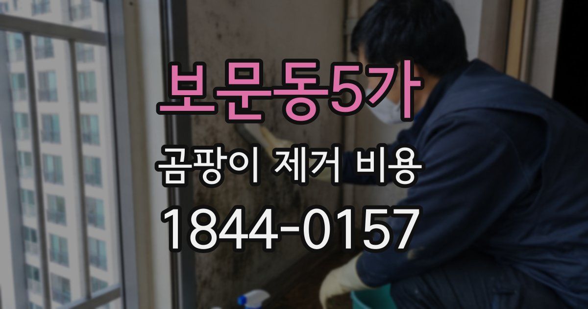보문동5가 곰팡이 제거 비용