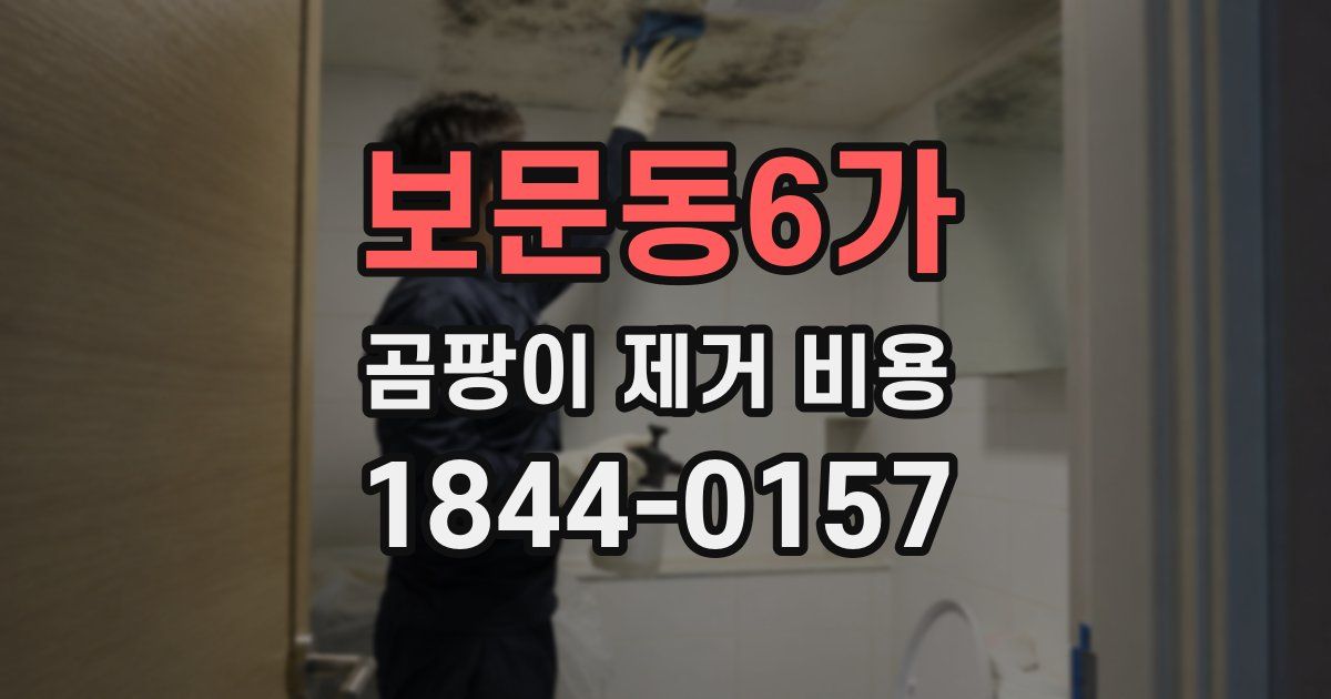 보문동6가 곰팡이 제거 비용