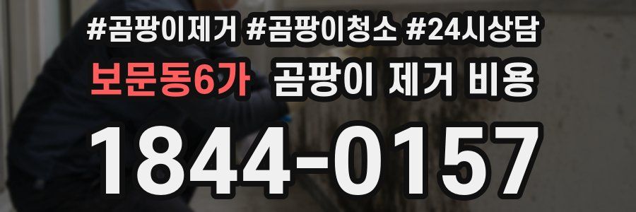 보문동6가 곰팡이 제거 비용