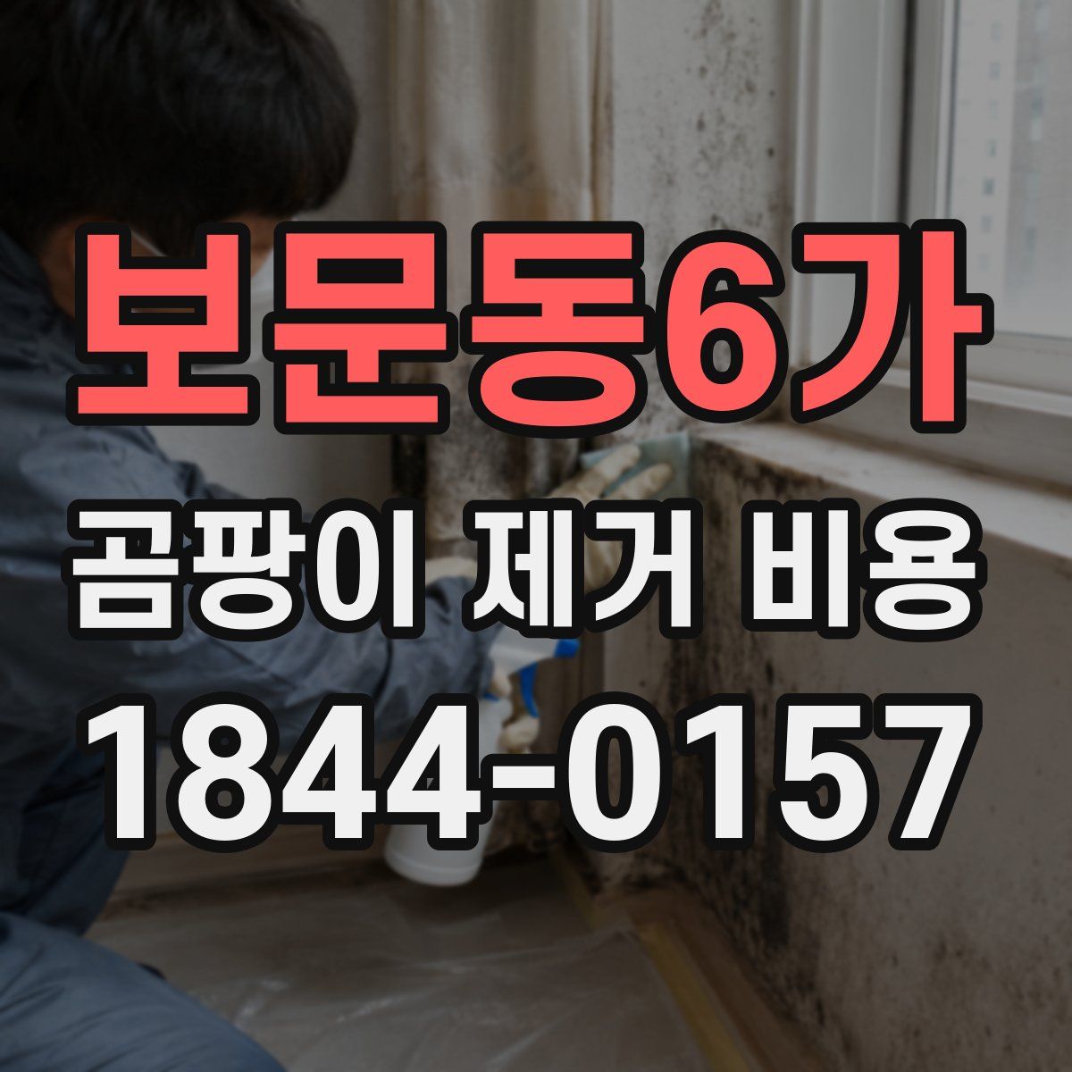 보문동6가 곰팡이 제거 비용