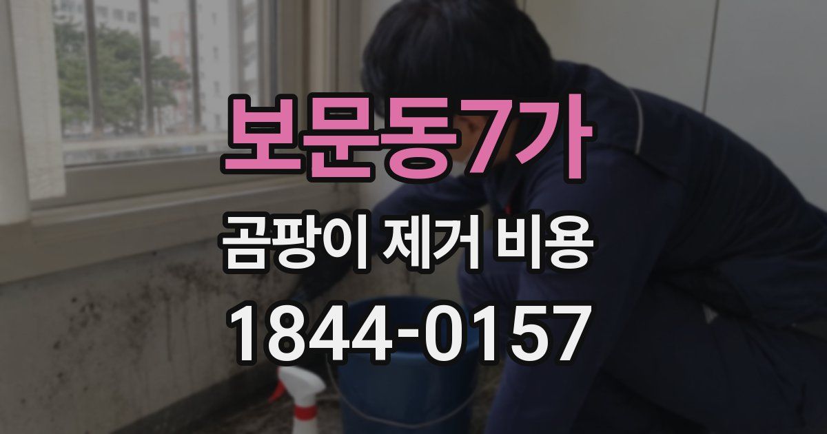 보문동7가 곰팡이 제거 비용