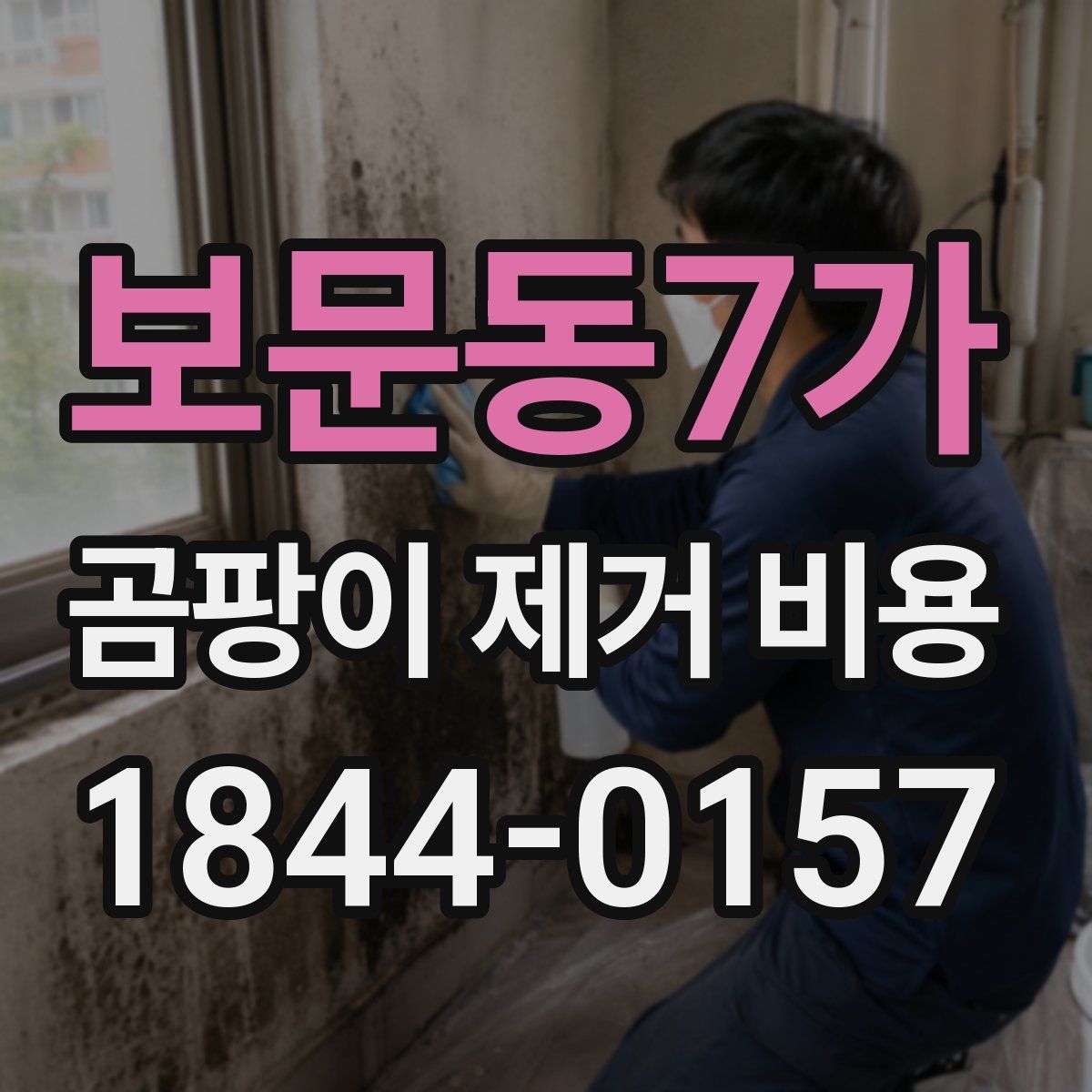 보문동7가 곰팡이 제거 비용