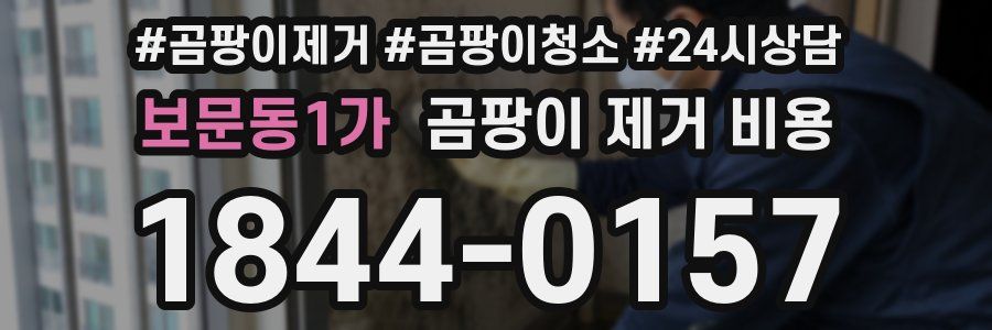 보문동1가 곰팡이 제거 비용