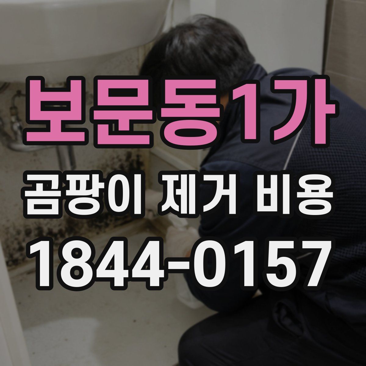 보문동1가 곰팡이 제거 비용