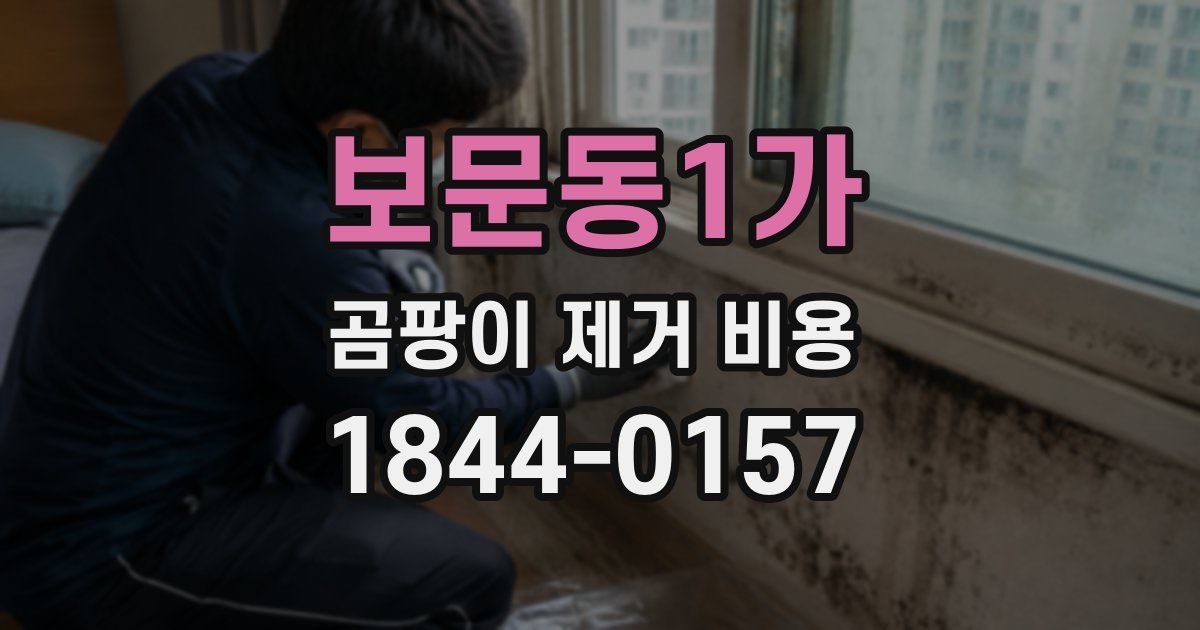 보문동1가 곰팡이 제거 비용