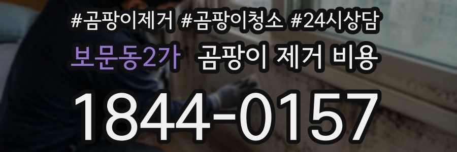 보문동2가 곰팡이 제거 비용
