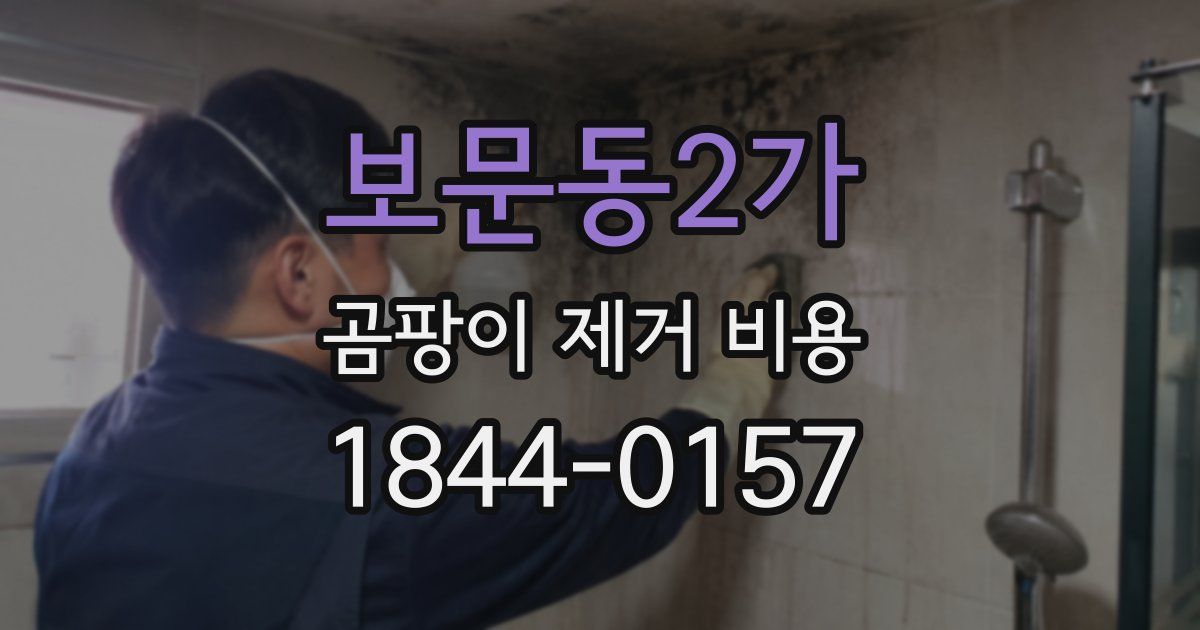 보문동2가 곰팡이 제거 비용