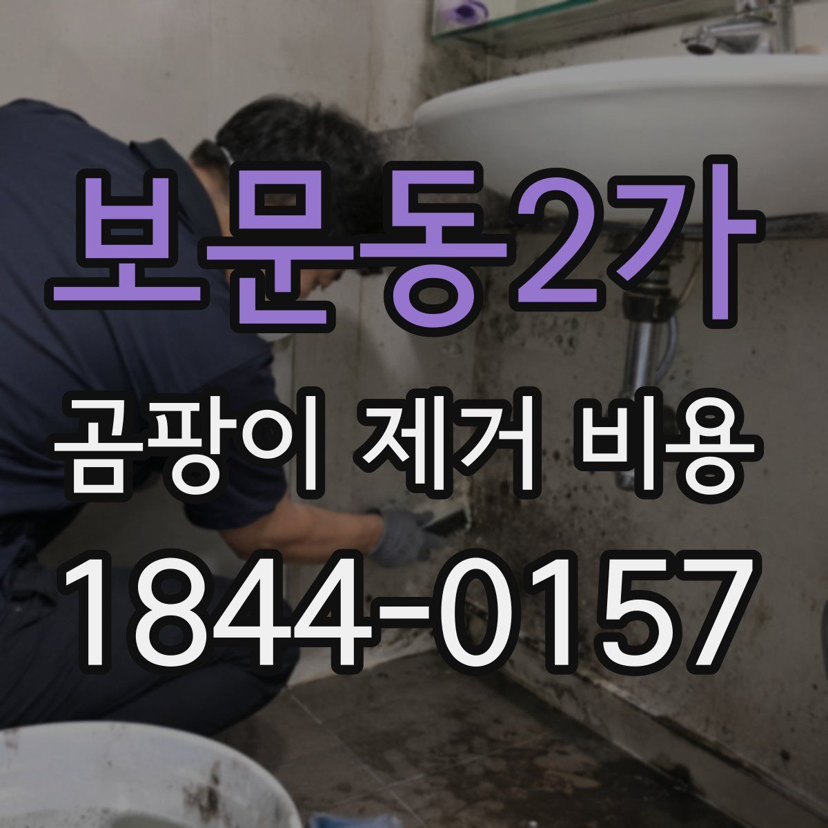 보문동2가 곰팡이 제거 비용