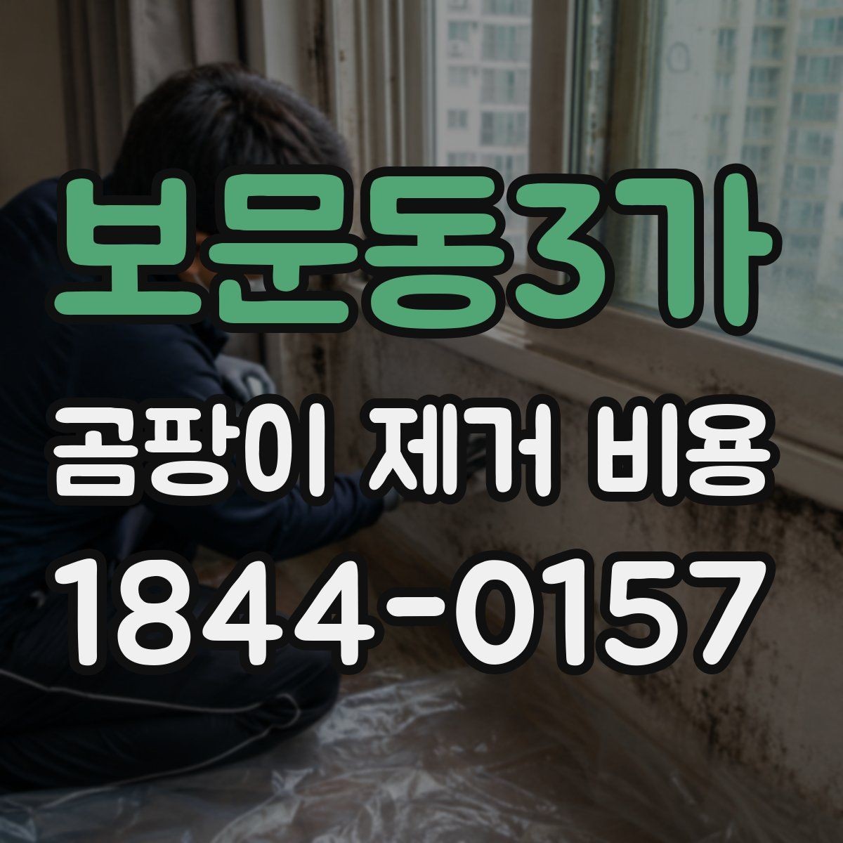 보문동3가 곰팡이 제거 비용 단열 보수까지 포함되는 사례 살펴보기