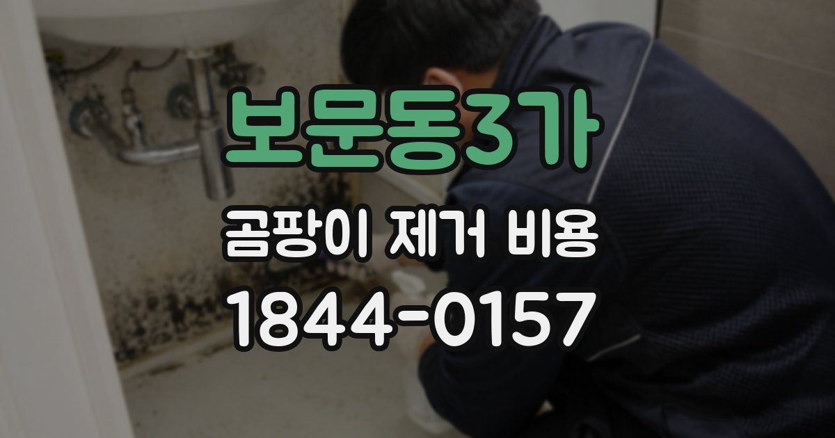 보문동3가 곰팡이 제거 비용
