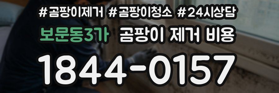 보문동3가 곰팡이 제거 비용