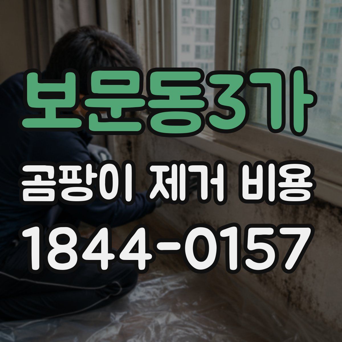 보문동3가 곰팡이 제거 비용