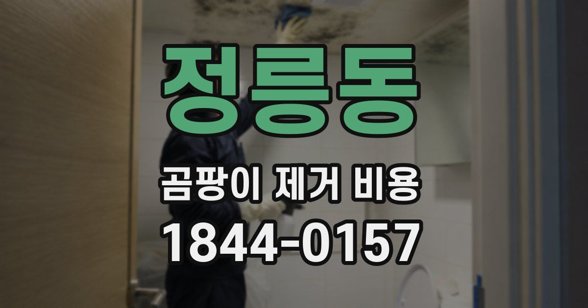 정릉동 곰팡이 제거 비용