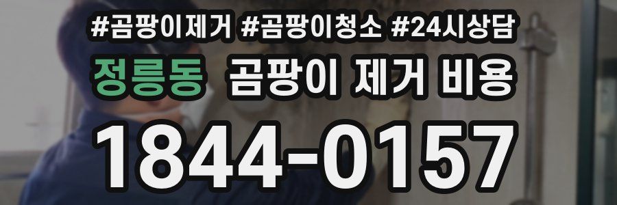 정릉동 곰팡이 제거 비용