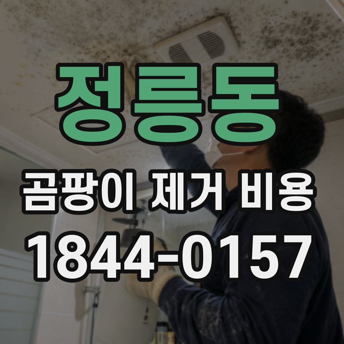 정릉동 곰팡이 제거 비용