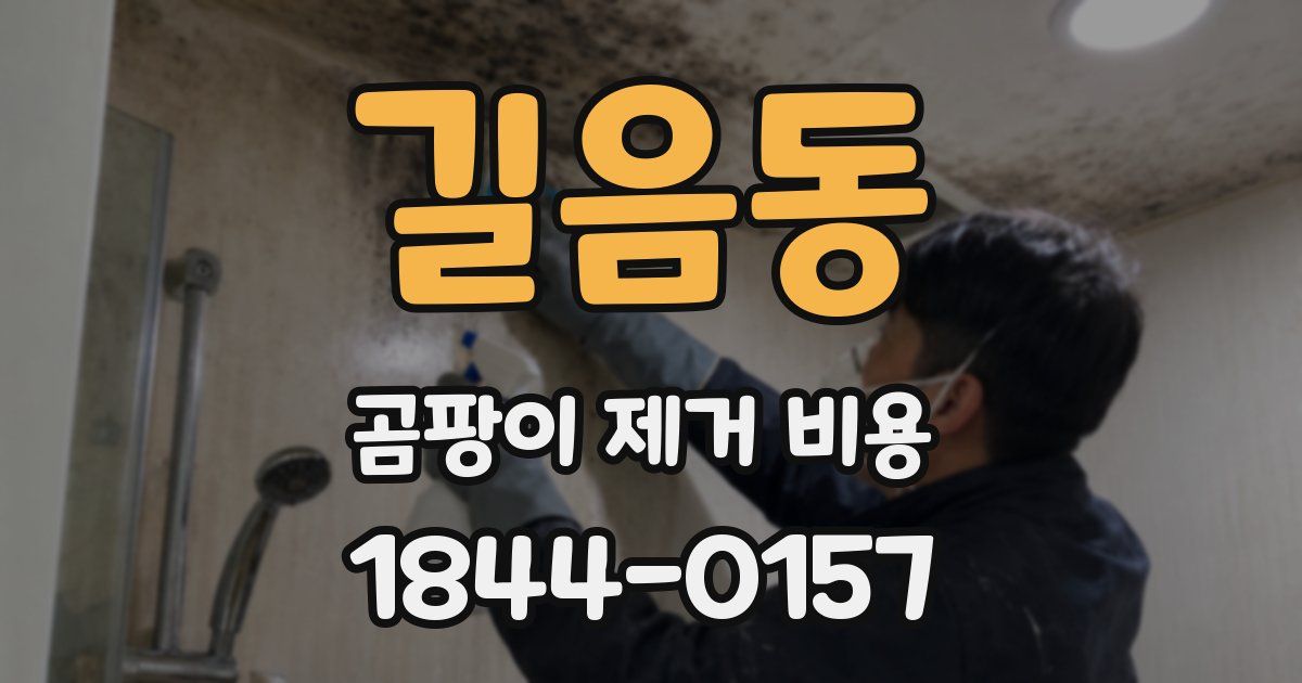 길음동 곰팡이 제거 비용