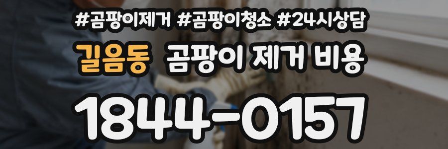 길음동 곰팡이 제거 비용
