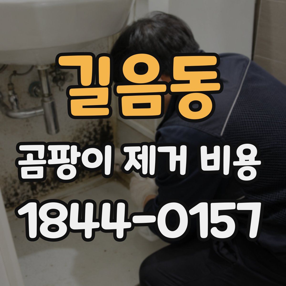 길음동 곰팡이 제거 비용