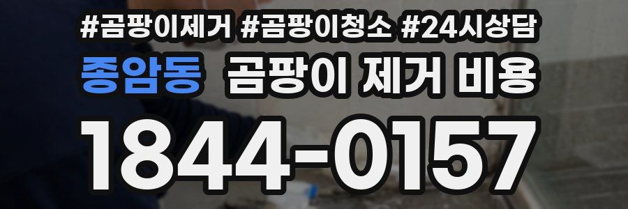 종암동 곰팡이 제거 비용
