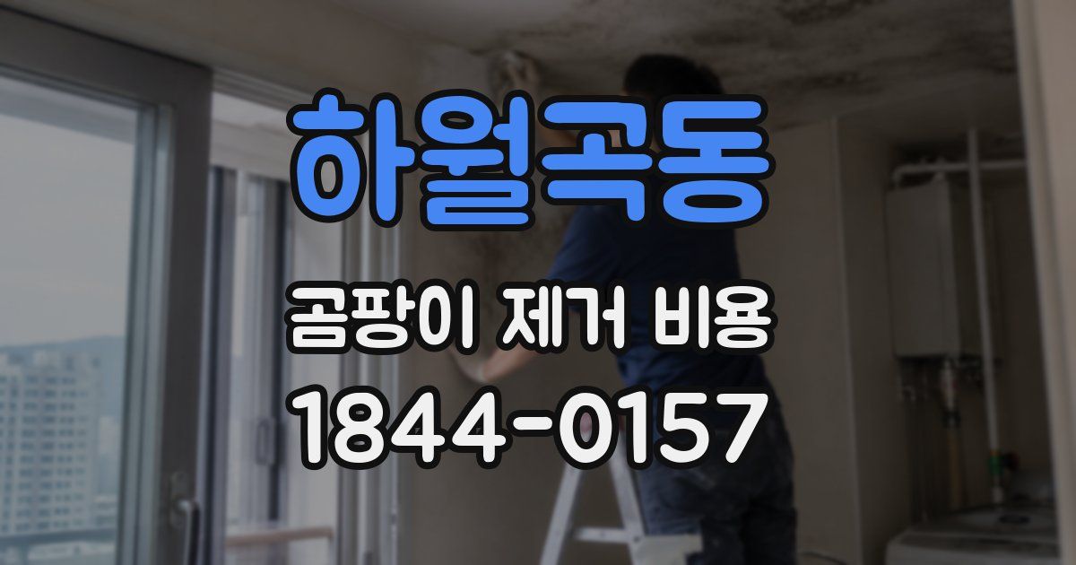 하월곡동 곰팡이 제거 비용