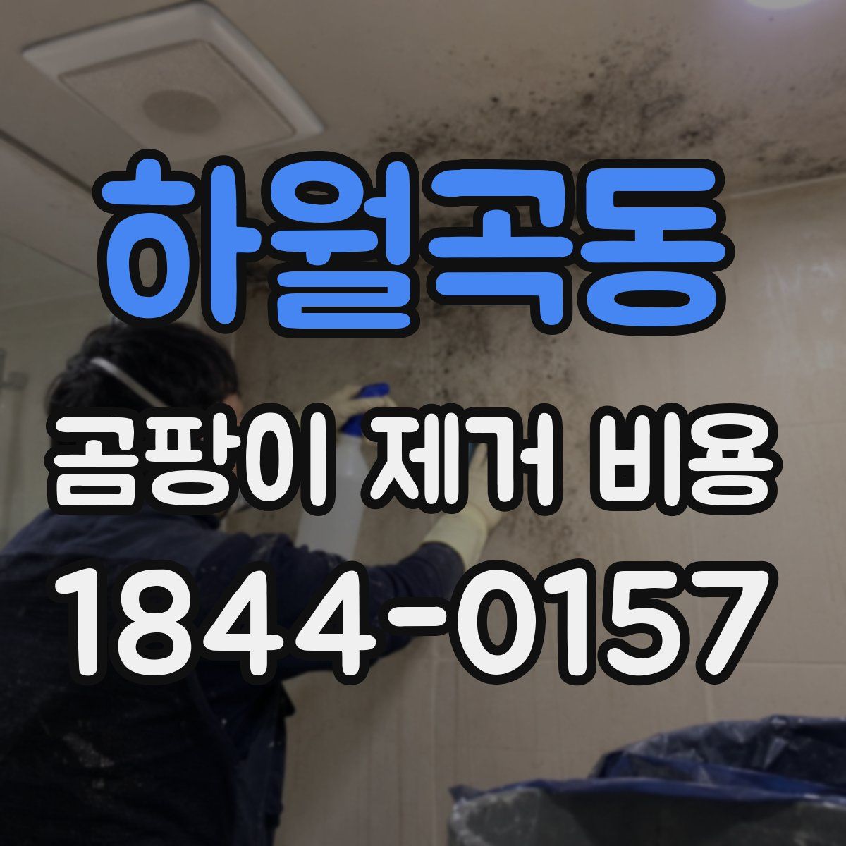 하월곡동 곰팡이 제거 비용