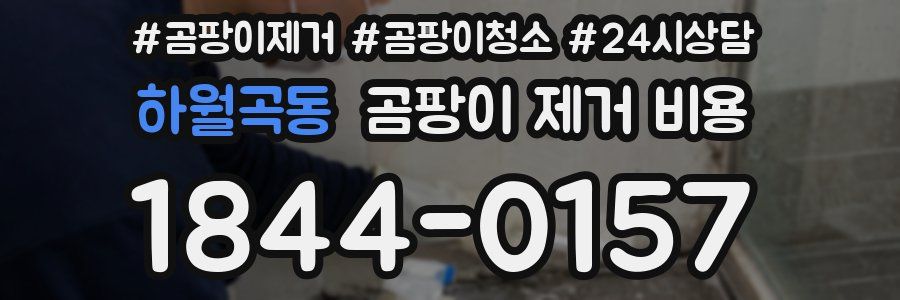 하월곡동 곰팡이 제거 비용
