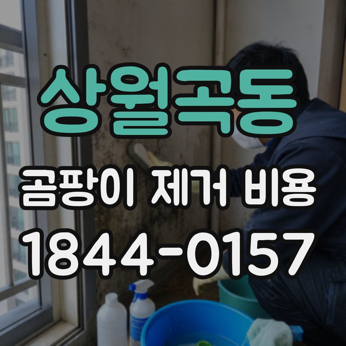 상월곡동 곰팡이 제거 비용